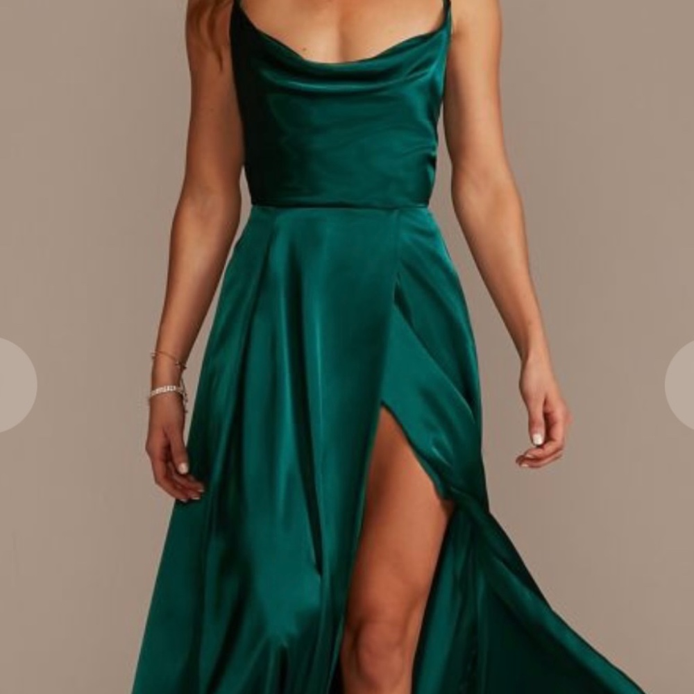 David's Bridal Long Dress, new with tags.